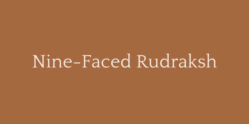 Nine-Faced Rudraksh (9 Mukhi Rudraksha)